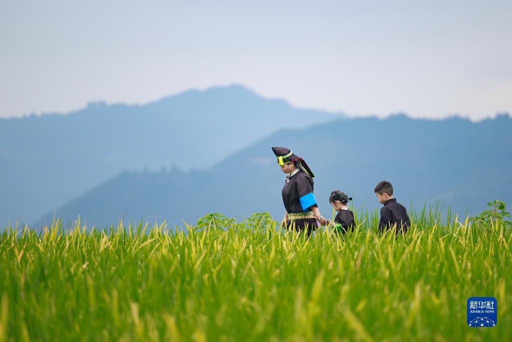 白菜导航收集